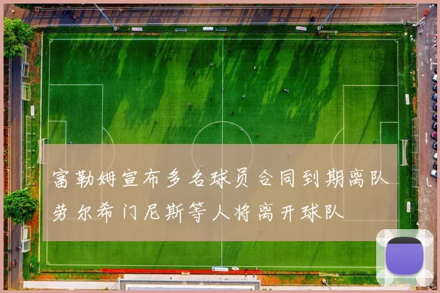 富勒姆宣布多名球员合同到期离队劳尔希门尼斯等人将离开球队